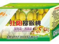 桂林綠色香生態(tài)園 山水間的生態(tài)綠洲，可持續(xù)發(fā)展的文旅新名片