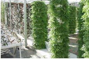 山東專業(yè)溫室生態(tài)園建設指南 從規(guī)劃到落地的全方位解析