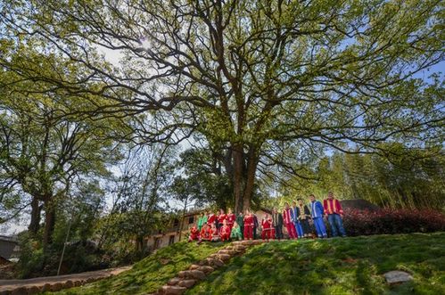 浙江擘畫詩路文化新藍圖 九市聯(lián)動，生態(tài)為基，打造中華文脈傳承創(chuàng)新帶