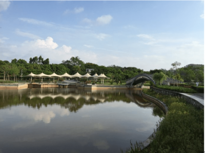 東進下的坪山，你還認識嗎？探秘生態(tài)園新篇