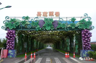 山西華北奕豐生態(tài)園特色農產品及旅游產品推介會盛大啟動